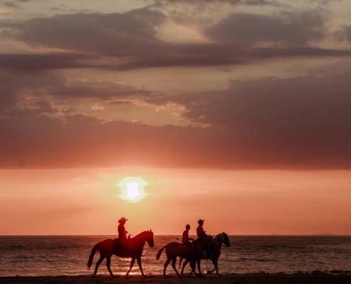 puerto-surf-excursion-caballo-01